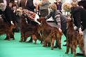 Crufts2011 699